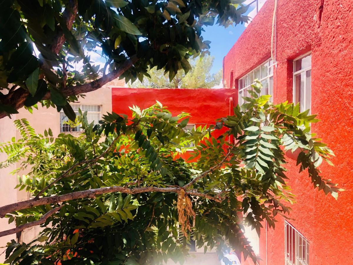 צ'יוואווה Hostal Kuira Ba By Rotamundos מראה חיצוני תמונה